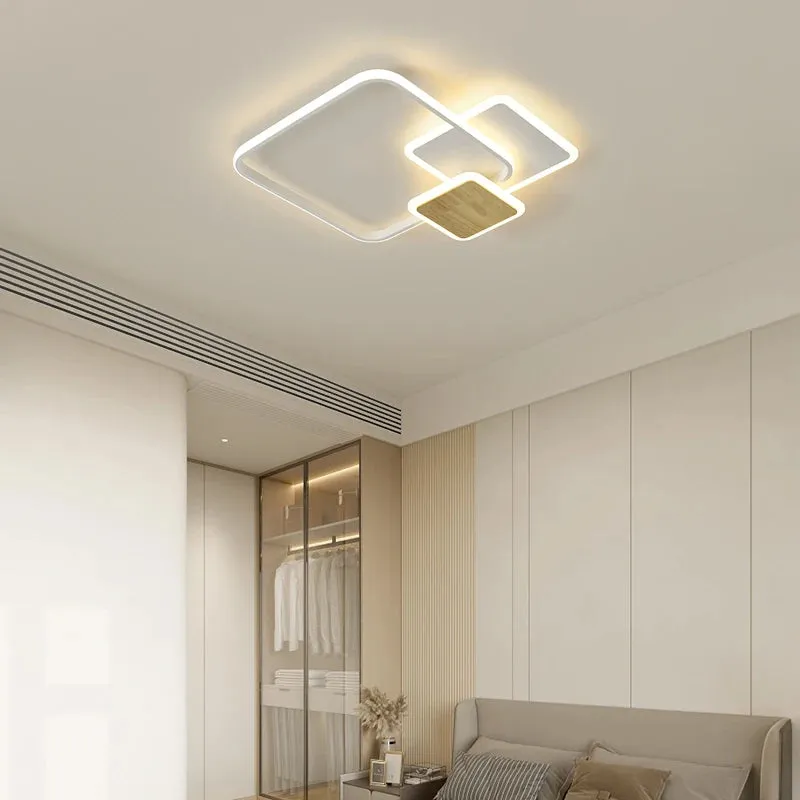 QIYI Fluifust Modern LED Ceiling Home Decor Luster Fixture Dimmable