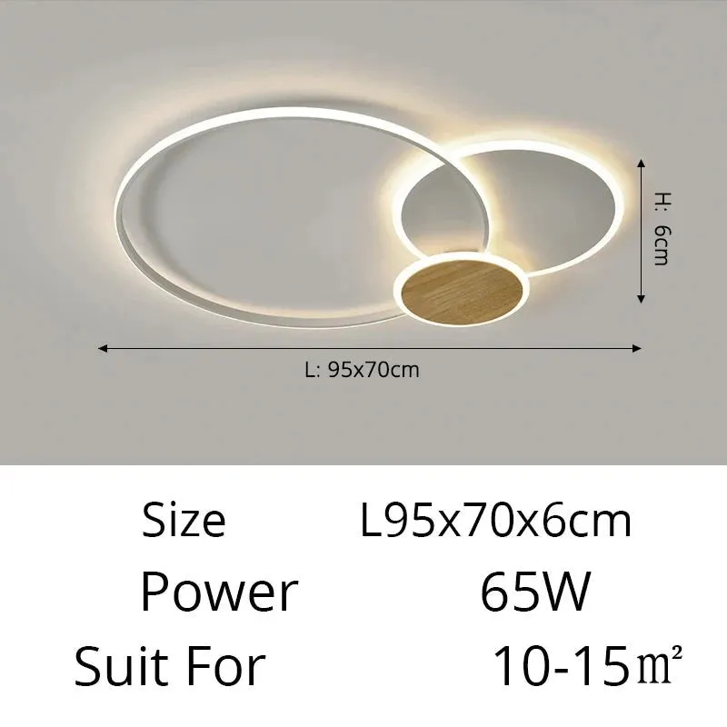 QIYI Fluifust Modern LED Ceiling Home Decor Luster Fixture Dimmable