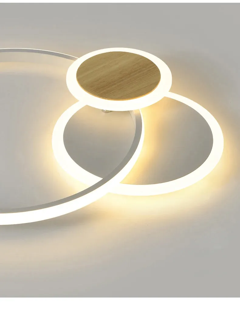 QIYI Fluifust Modern LED Ceiling Home Decor Luster Fixture Dimmable