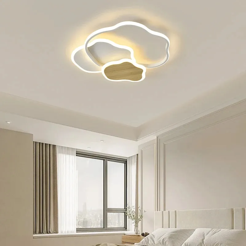 QIYI Fluifust Modern LED Ceiling Home Decor Luster Fixture Dimmable