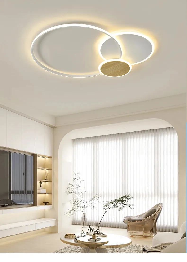 QIYI Fluifust Modern LED Ceiling Home Decor Luster Fixture Dimmable
