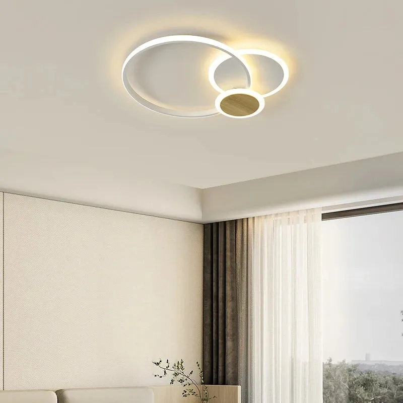QIYI Fluifust Modern LED Ceiling Home Decor Luster Fixture Dimmable