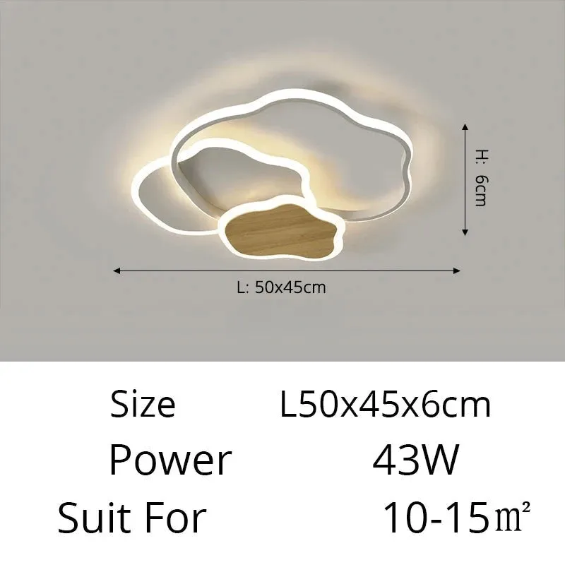 QIYI Fluifust Modern LED Ceiling Home Decor Luster Fixture Dimmable